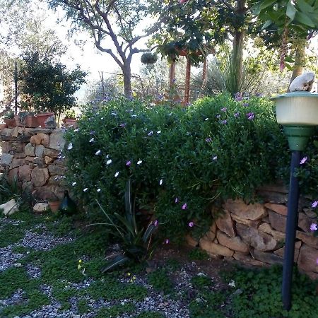 Appartamento Titina Jerzu Ngoại thất bức ảnh